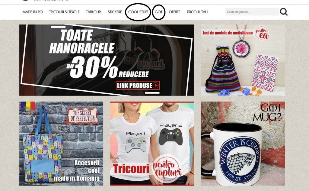 Denumiri ambigue categorii - criteriile de evaluare GPeC, audit de website - intregul site