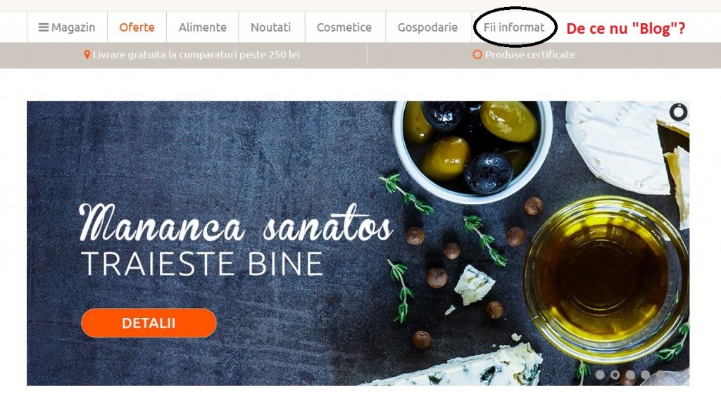 Criteriile de evaluare GPeC - auditul intregului website - denumiri ambigue link-uri din meniu